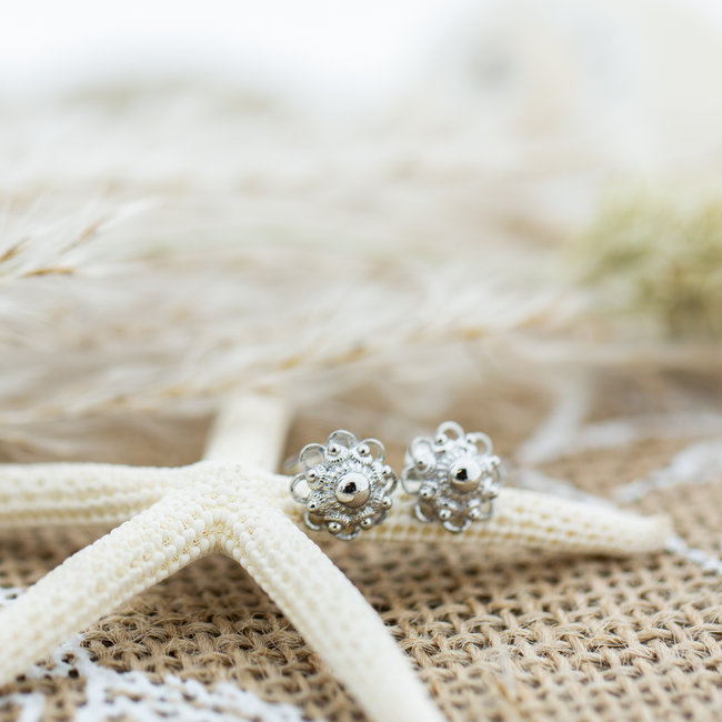 Zeeuwse knop Staal oorbellen zilver