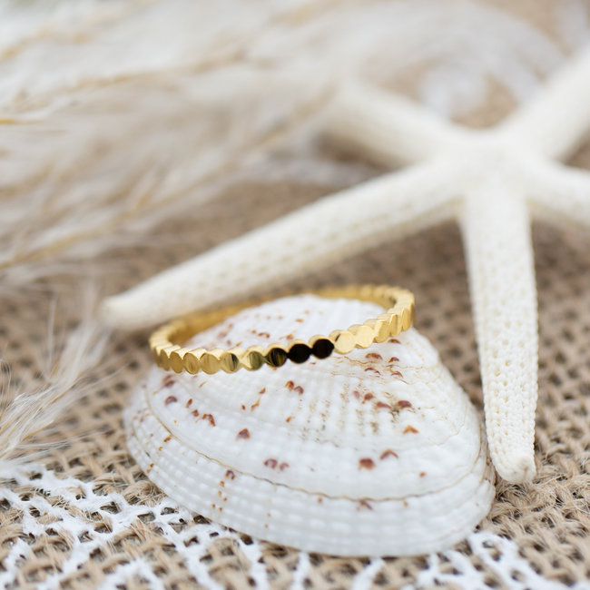 IXXXI aanschuifringflat circles 2mm