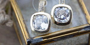 VIVA in het zonnetje