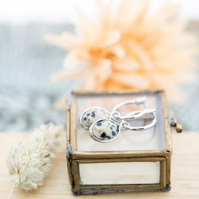 Biba Creolen zilverkleurig met edelsteen