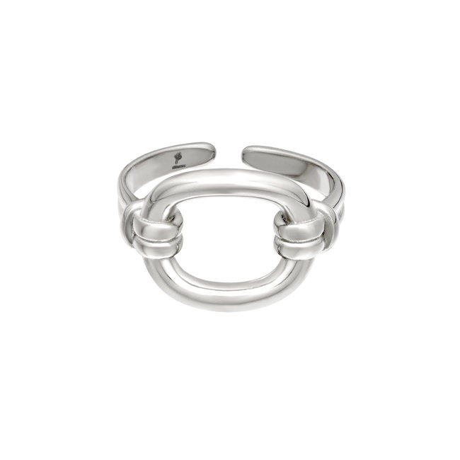 Zilveren stalen ringen