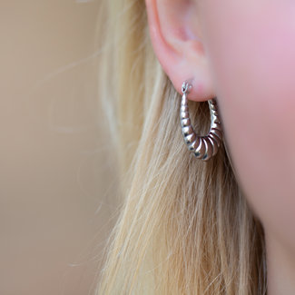 Day & Eve  Stalen zilver ovaal oorbellen