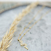 Day & Eve  Goudkleurige ketting met zirkonia slang