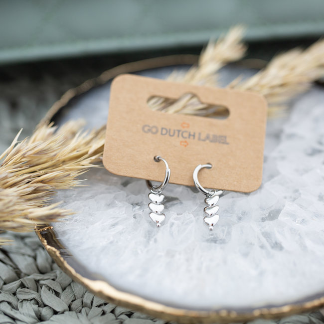 Day & Eve  Stalen zilverkleurige hart oorbellen