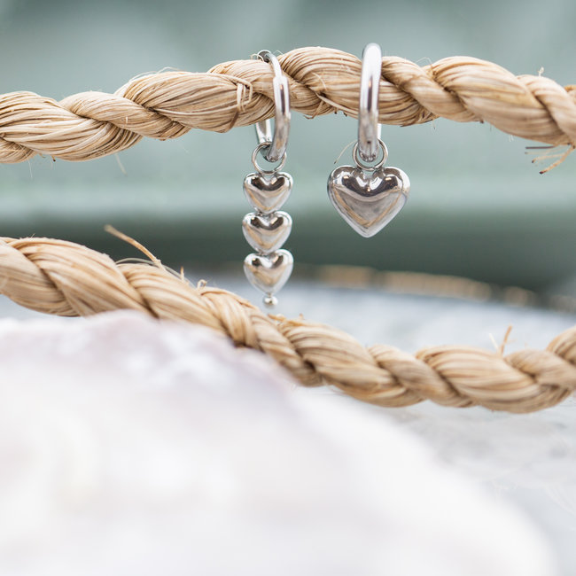 Day & Eve  Stalen zilverkleurige hart oorbellen