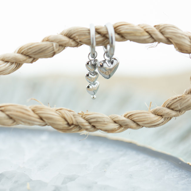Day & Eve by Go Dutch Label Stalen zilverkleurige hart oorbellen