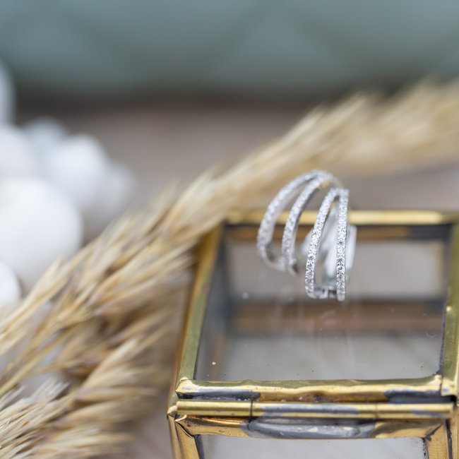 Plain Zirconia Hinged Hoops Double Row