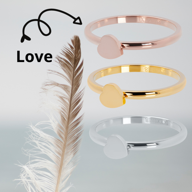 IXXXI Complete IXXXI ring Love zilver, goud of rose
