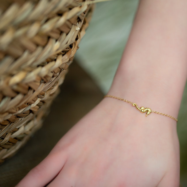 Day & Eve  Goud armbandje met zeepaardje