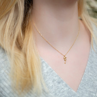 Day & Eve by Go Dutch Label Goud zeepaardje ketting