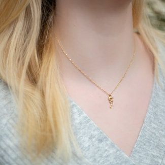 Day & Eve  Goud zeepaardje ketting