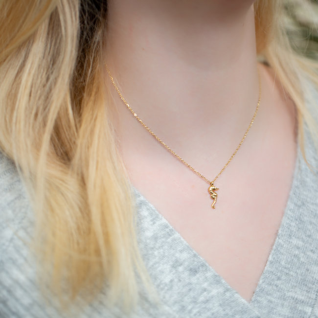 Goud zeepaardje ketting