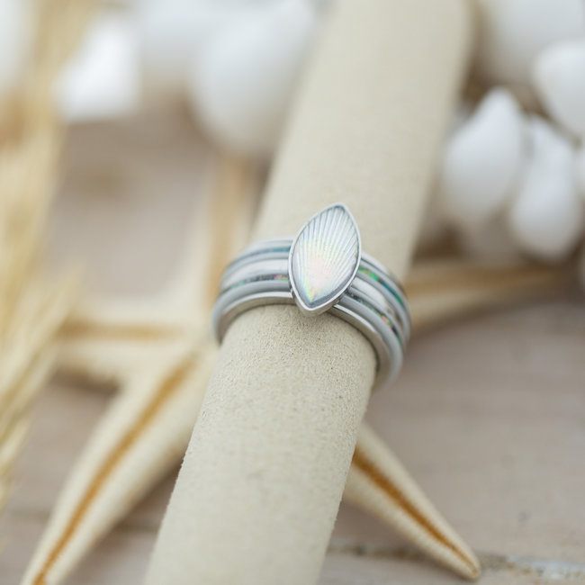 IXXXI Complete ring met shell