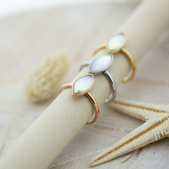Vulring Impression witte steen
