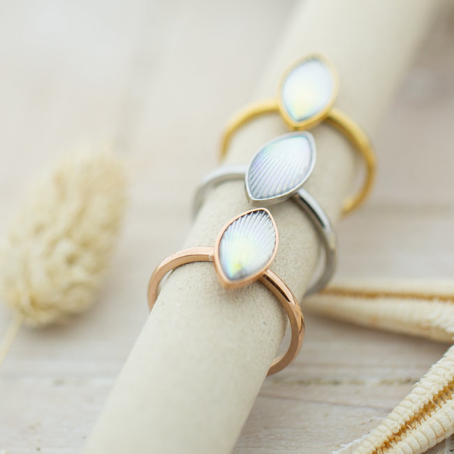 Vulring Impression witte steen