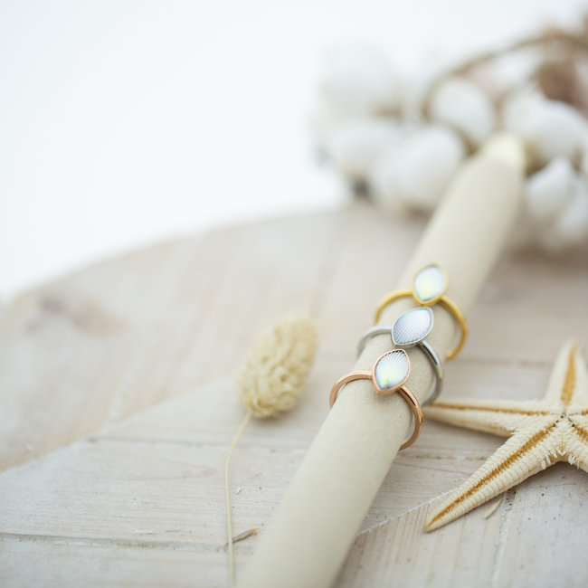 IXXXI Vulring Impression witte steen