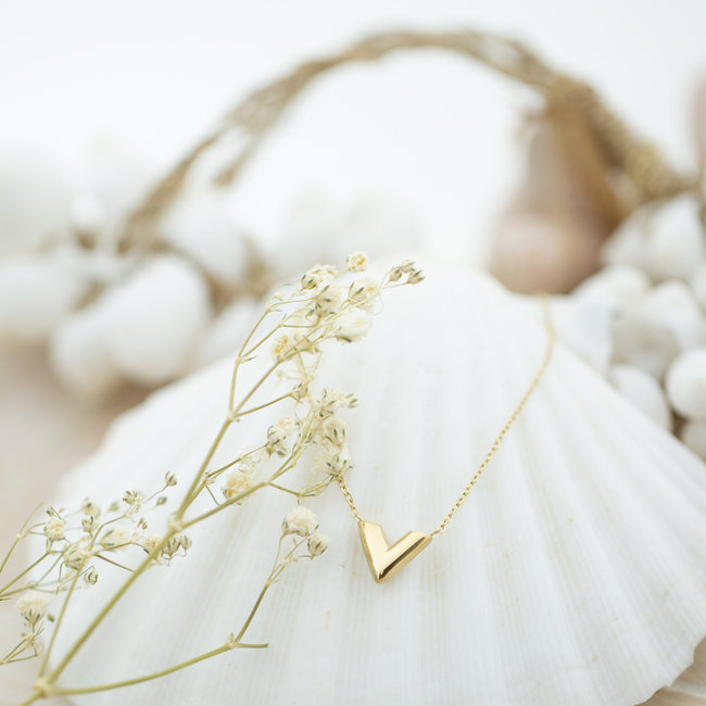Day & Eve  Goud dikke V ketting