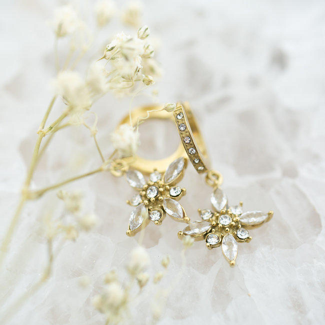 Day & Eve  Sparkle oorbellen met crystal glitter steentjes