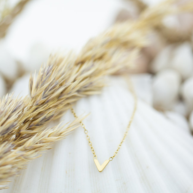 Goud kleine v ketting