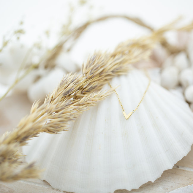 Goud kleine v ketting