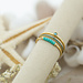 Charmins Turquoise ringen set