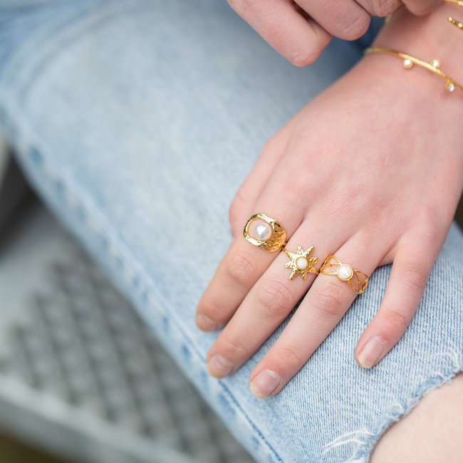 Goud stainless steel ringen