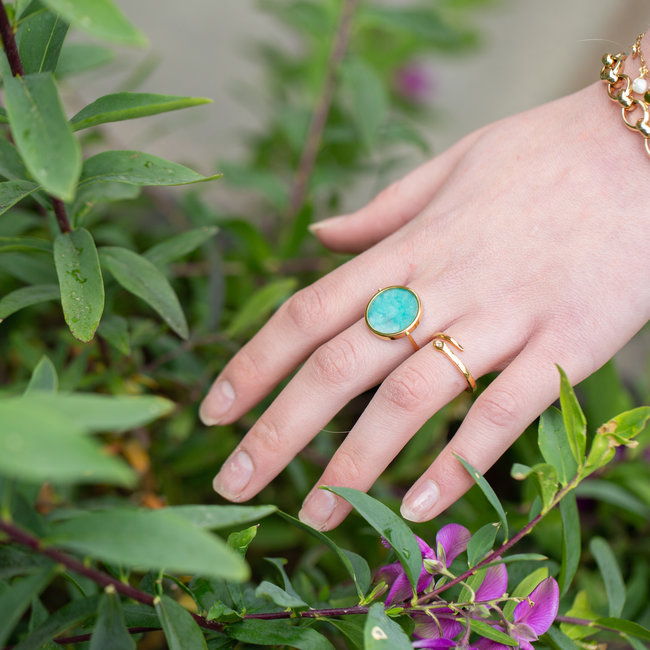Goud stainless steel ringen
