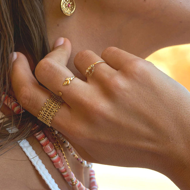 Goud stalen ringen