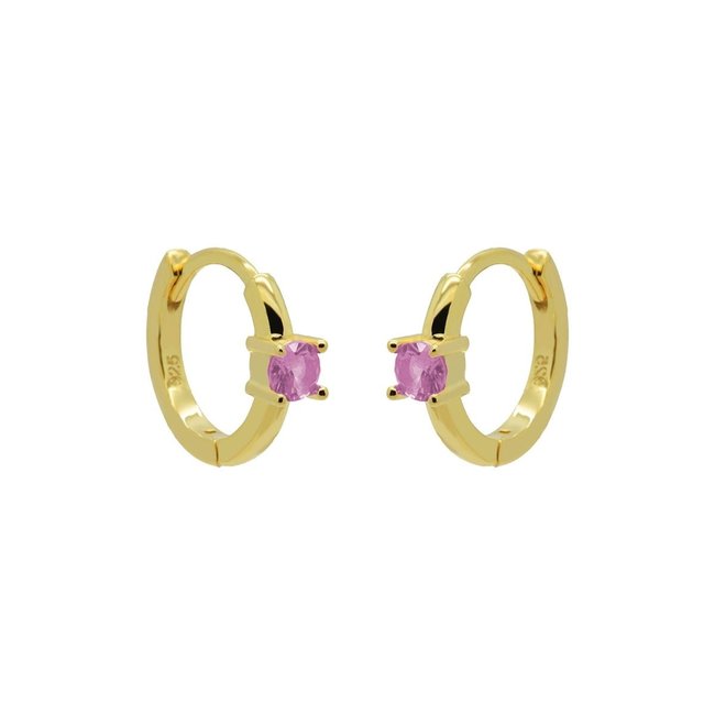 Roze met goud cute oorbellen