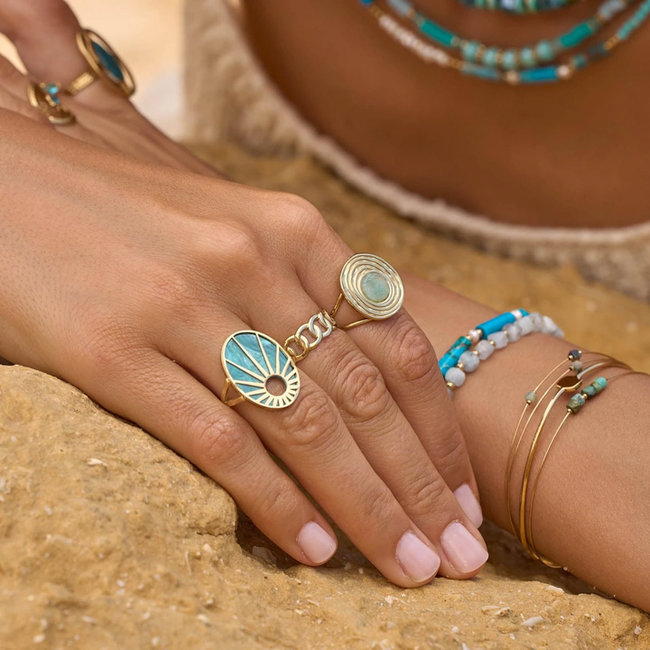 Aqua ringen goud staal