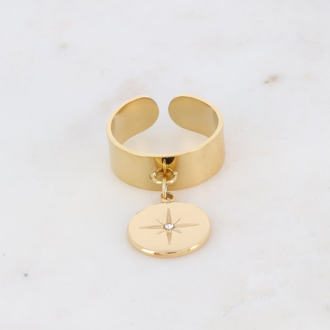 Ikita  Goudkleurige ringen staal