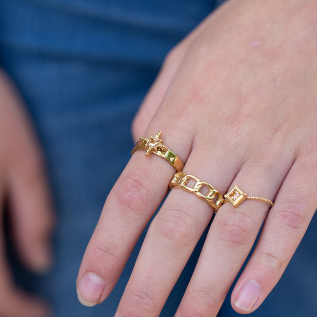 Stainless steel goud ring