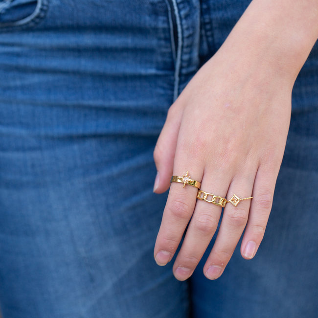 Stainless steel goud ring