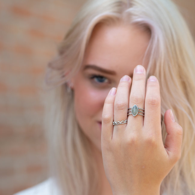 Stainless steel zilver ring