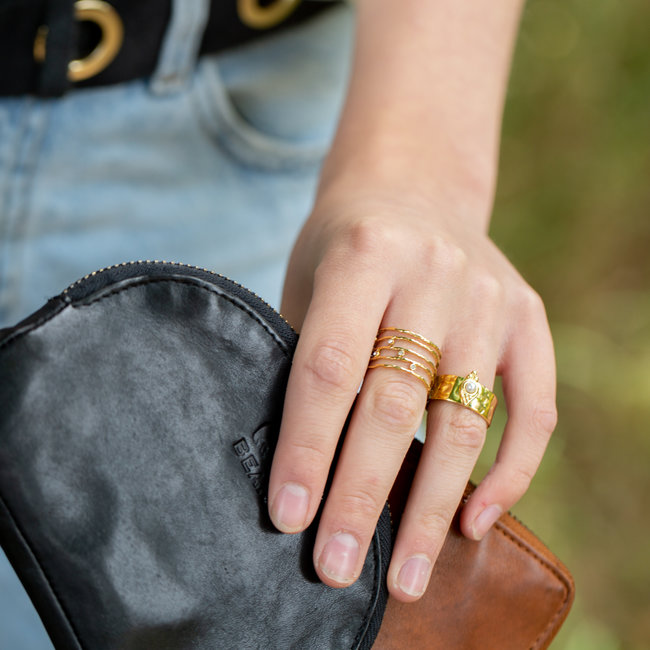 Biba Stainless steel brede ringen goud