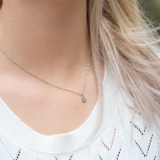 Day & Eve by Go Dutch Label Zilverkleurige ketting met bloemetje