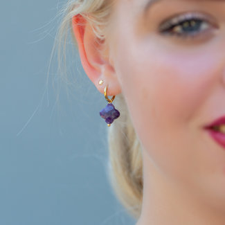 Day & Eve  Goud klaver oorbellen paars