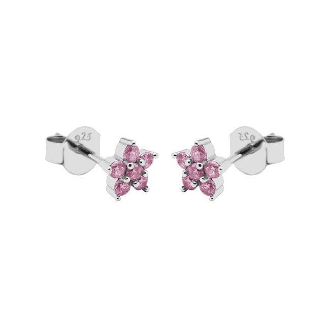 Ruby roze mix oorbellen zilver