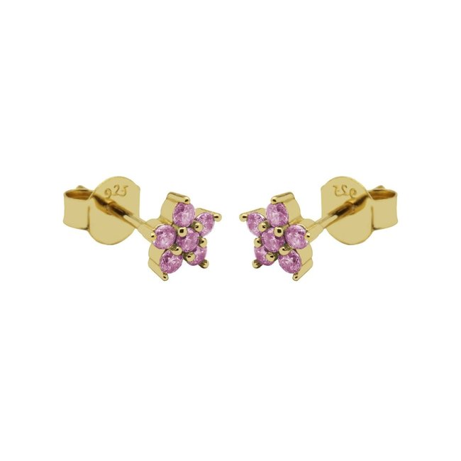 Ruby roze mix combi oorbellen