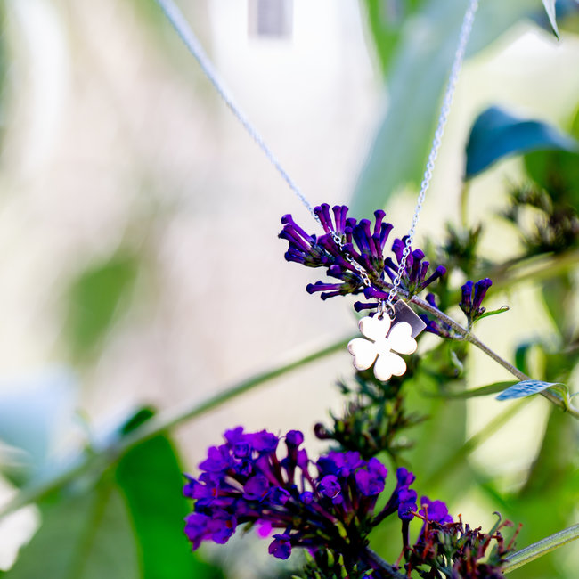 ZAG  Bijoux ketting zilver met klaver
