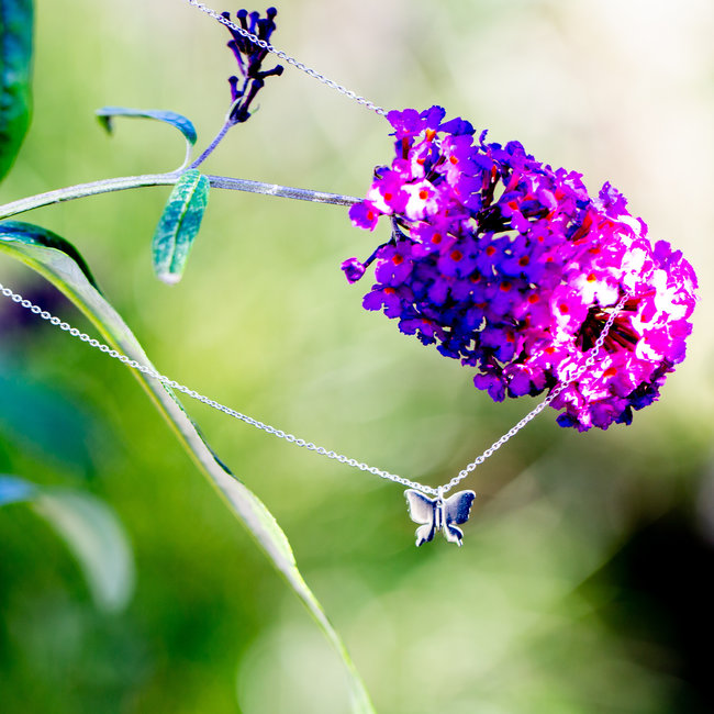 Zilver ketting met vlinder
