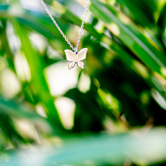 Zilver ketting met vlinder