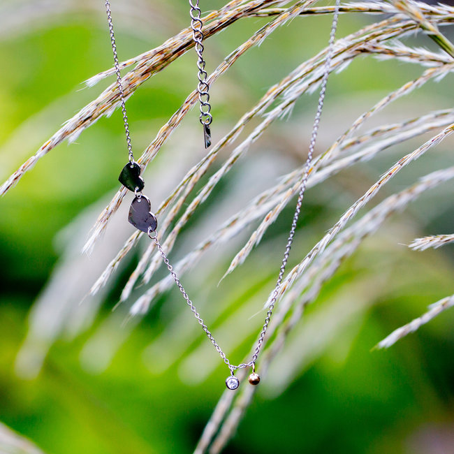 Zilver dubbele harten ketting