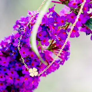 Day & Eve  Goud ketting met klaver