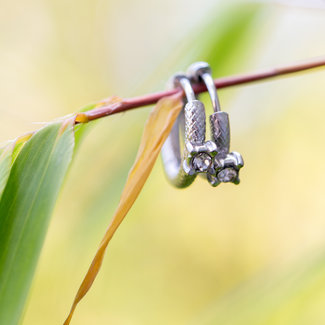 Day & Eve by Go Dutch Label Zilver creolen met strass steentje