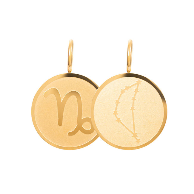 IXXXI Sterrenbeeld bedel