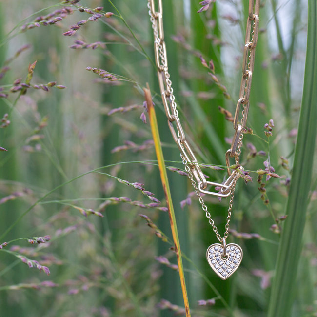 Dubbele goud schakelketting en hart