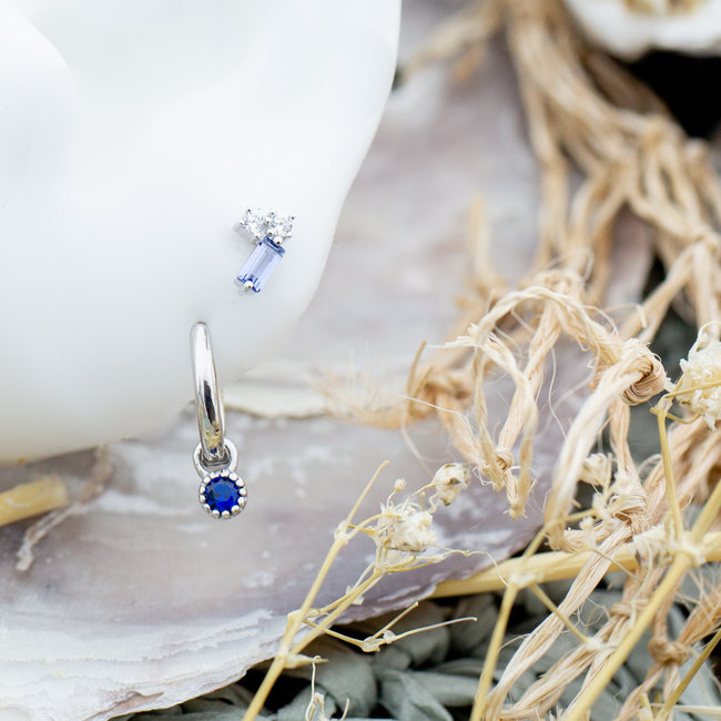 Zilver met blauwe oorbellen