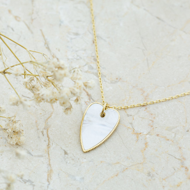 Stainless steel ketting met parelmoer hart