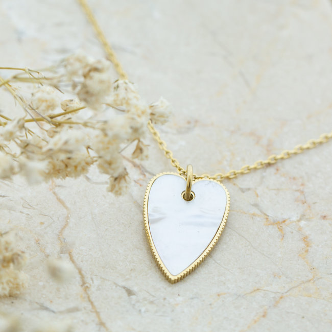 Stainless steel ketting met parelmoer hart